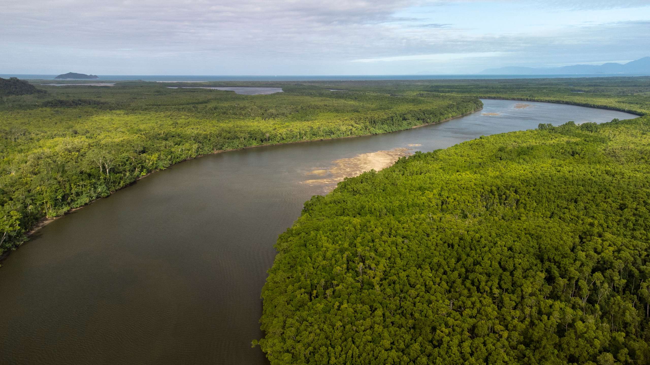 river cruises daintree
